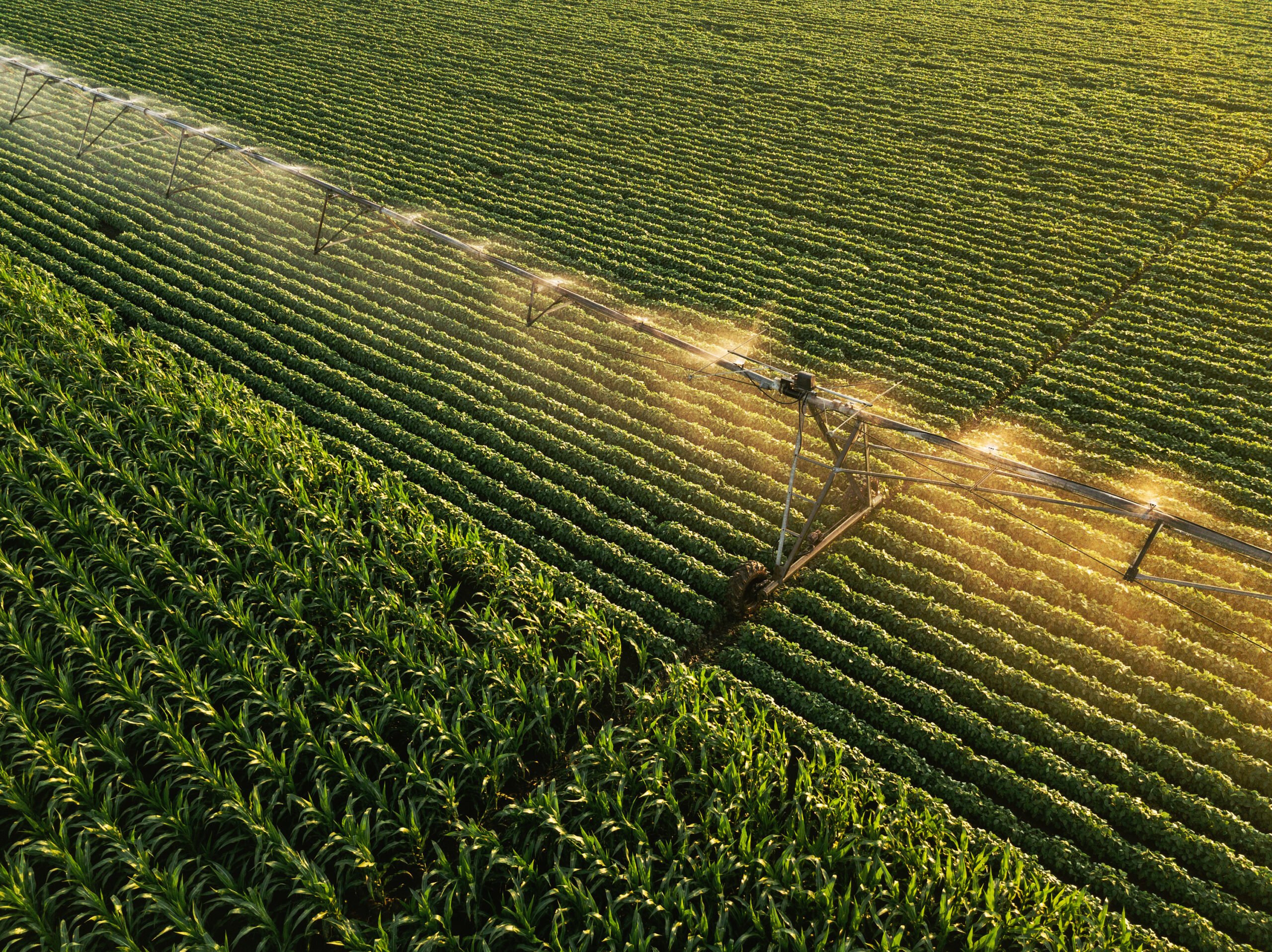 Desafios e Potencial da Agricultura Irrigada no Brasil