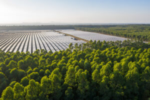 Crescimento de energia renovável é igual a mais de 3 usinas Itaipu