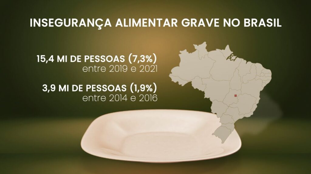 Insegurança Alimentar Grave No Brasil