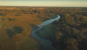 Pantanal: entenda a maior planície inundável do mundo