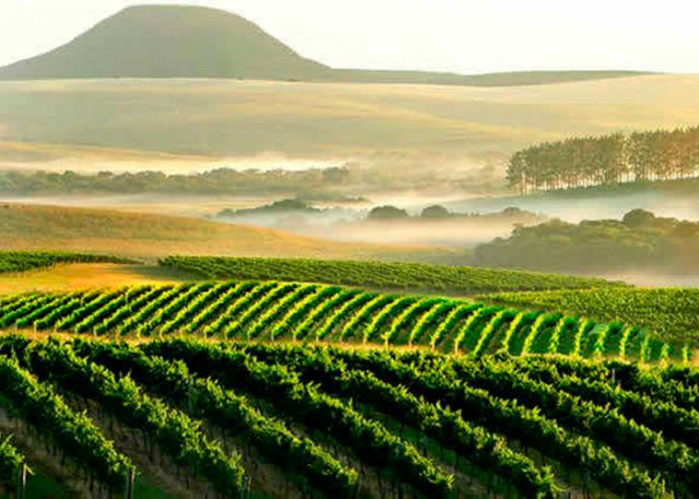 Campanha Gaucha | Planeta Campo