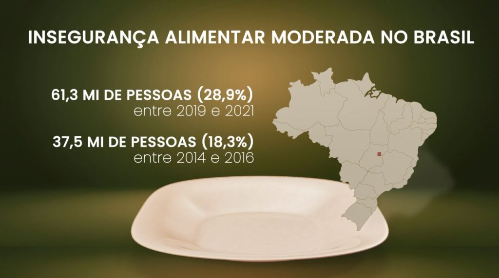 Insegurança Alimentar Moderada No Brasil