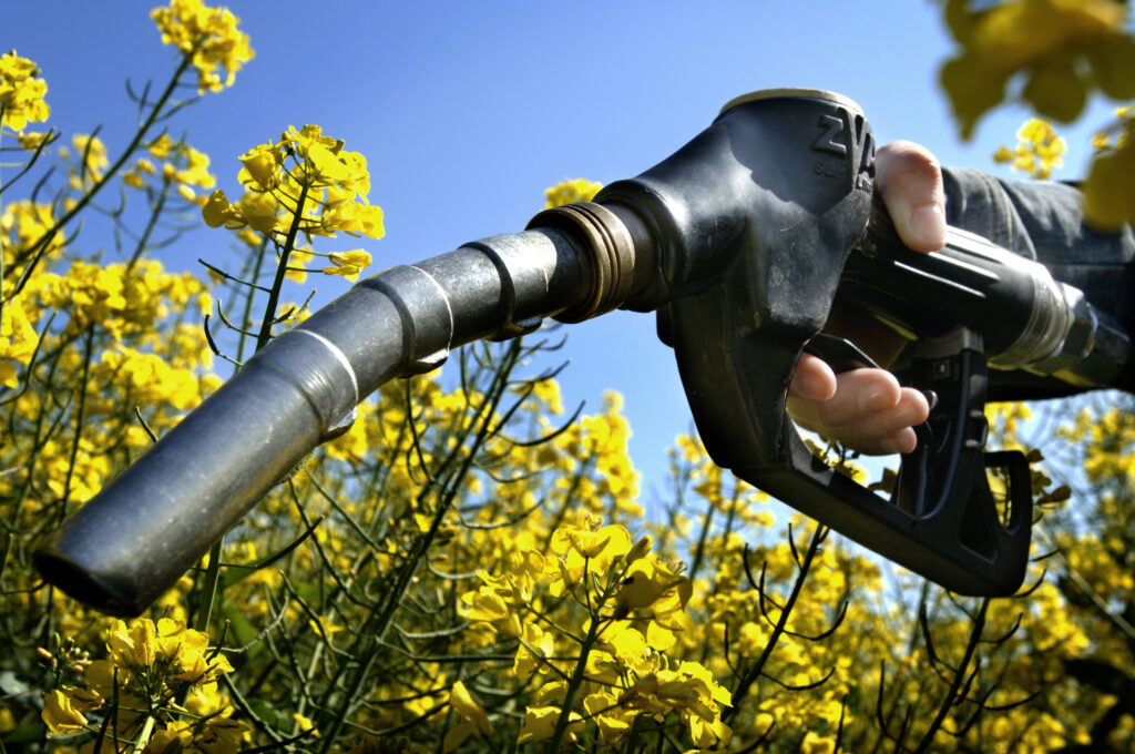 Aditivos para diesel, biodiesel