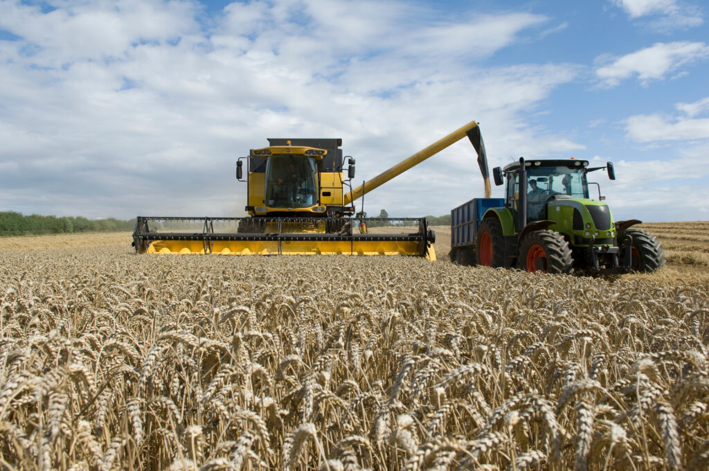 Combine Harvester Unloading Wheat 2022 03 07 23 53 13 Utc.jpg. Trigo | Planeta Campo