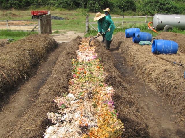 Compostagem Embrapa | Planeta Campo