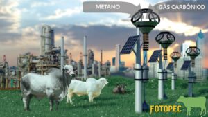 Estudo quer criar dispositivo para reduzir emissão de carbono e metano