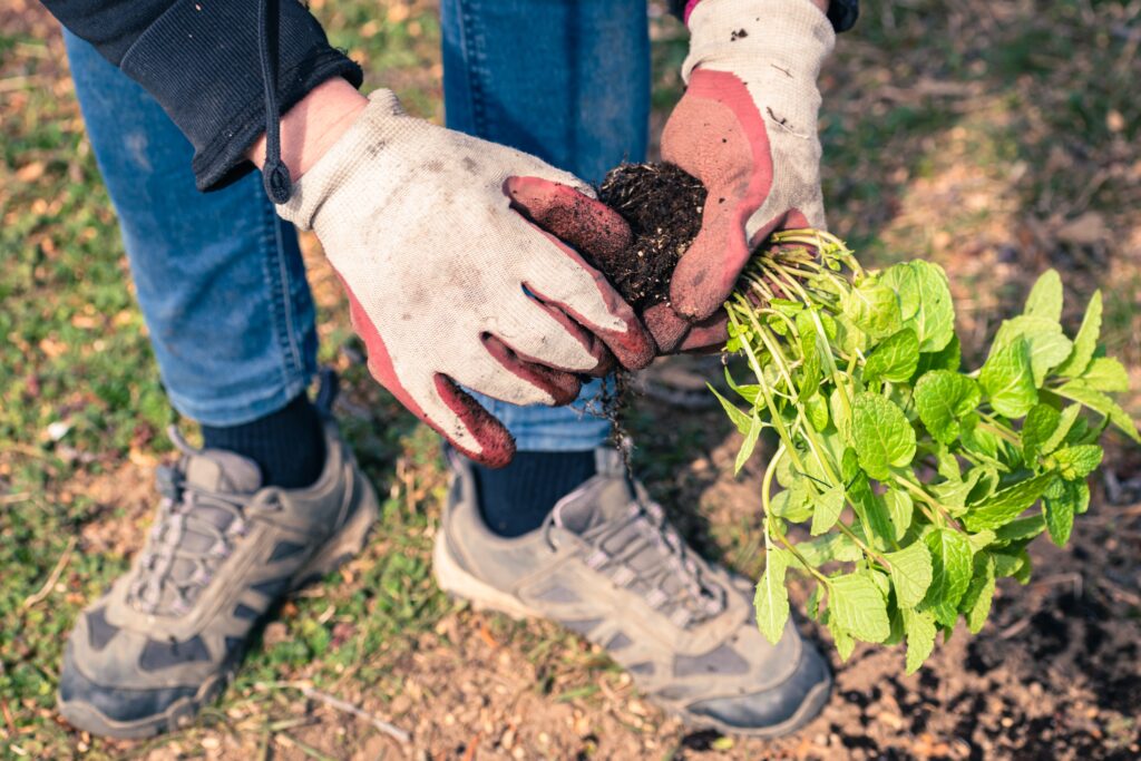 Plantando Mexendo | Planeta Campo