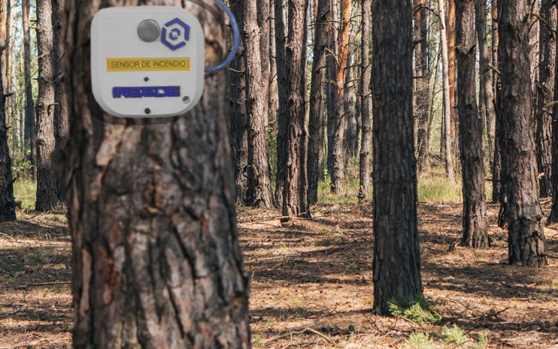 Intelligent sensor identifies and prevents forest fires