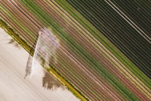 SLC Agrícola recebe prêmio de excelência no agronegócio