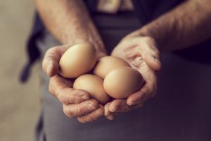 Projeto melhora renda de agricultores familiares