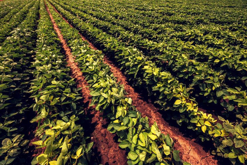 Agricultura Regenerativa, Estudo