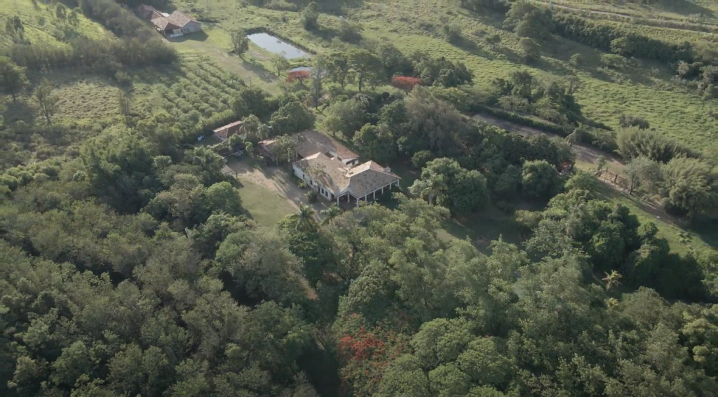 Macadâmia orgânica ganha Prêmio Planeta Campo por produção sustentável