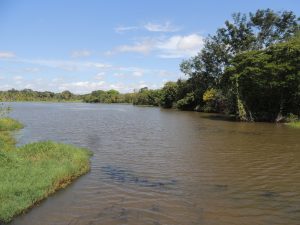 Publicação sistematiza experiências brasileiras de valoração e pagamento por serviços ambientais