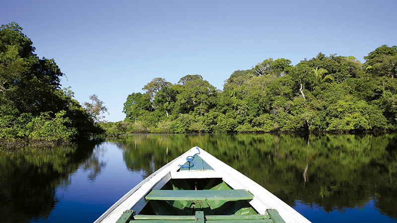 Insegurança no uso da verba destinada ao Fundo Amazônia preocupa especialistas