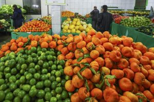 Transição de consumo: conheça a prática que busca hábitos mais sustentáveis