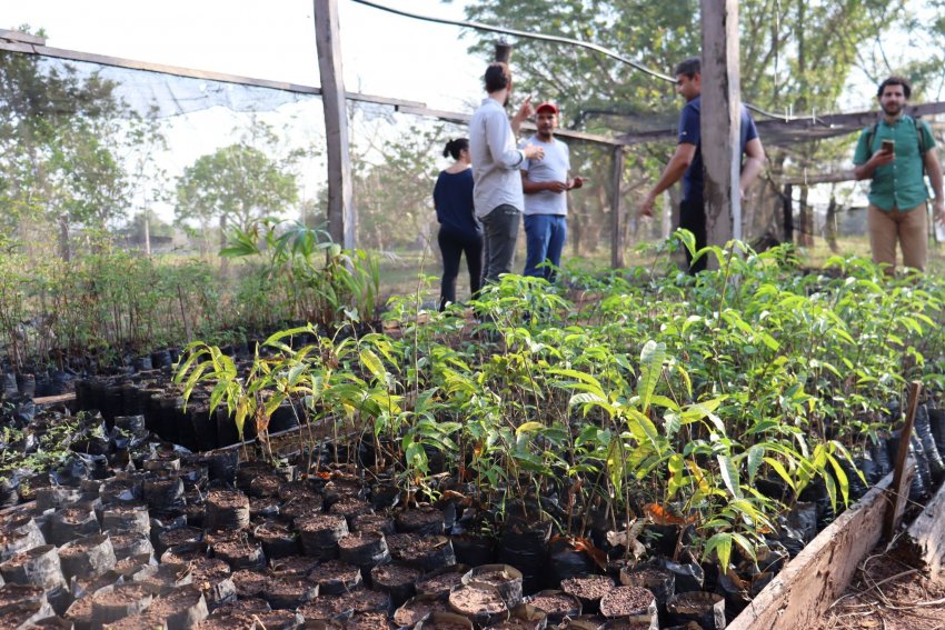 Mato Grosso tem 390 mil hectares com manejo de baixa emissão de carbono