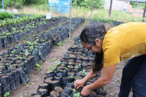 Projeto Mulheres do Alto Xingu transforma a história de 50 empreendedoras