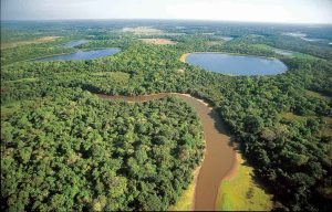 Projeto poderá ampliar proteção ao Pantanal