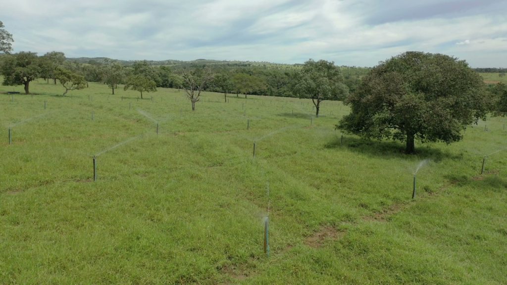 São Paulo planeja ampliar em 2 milhões de hectares área irrigada em todo o estado