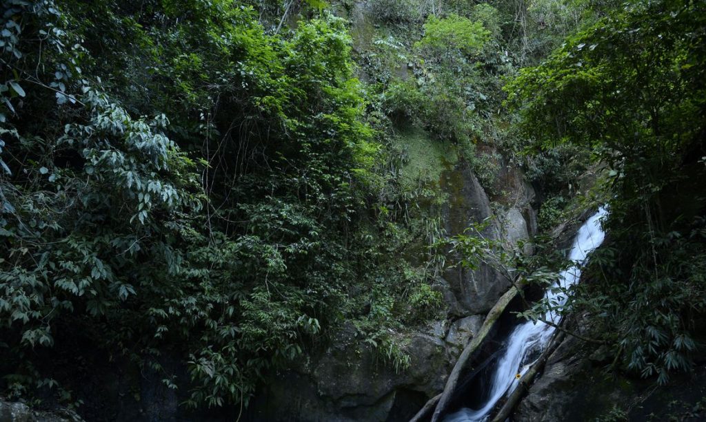 Mata Atlântica tem água de boa qualidade em 6,9% dos rios