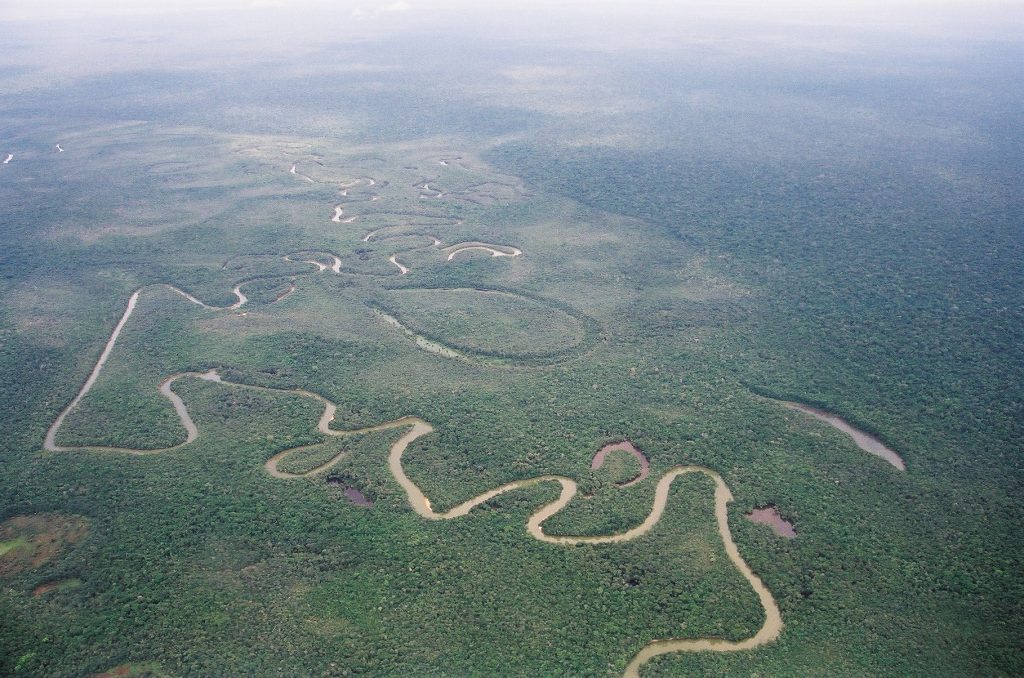 Rede Origens Brasil movimenta R$ 5 milhões em 2022 com comércio justo na floresta