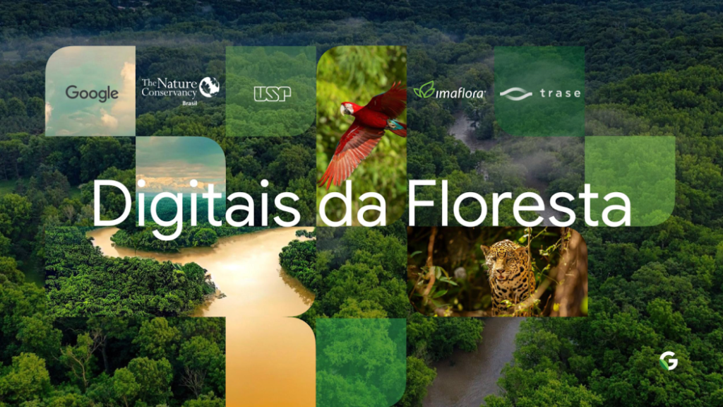 Imaflora se une ao Google para rastrear origem da madeira extraída na Amazônia