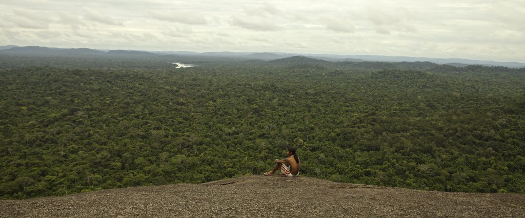 Estudo destaca importância de terras privadas para a conservação da biodiversidade