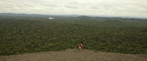 Estudo destaca importância de terras privadas para a conservação da biodiversidade