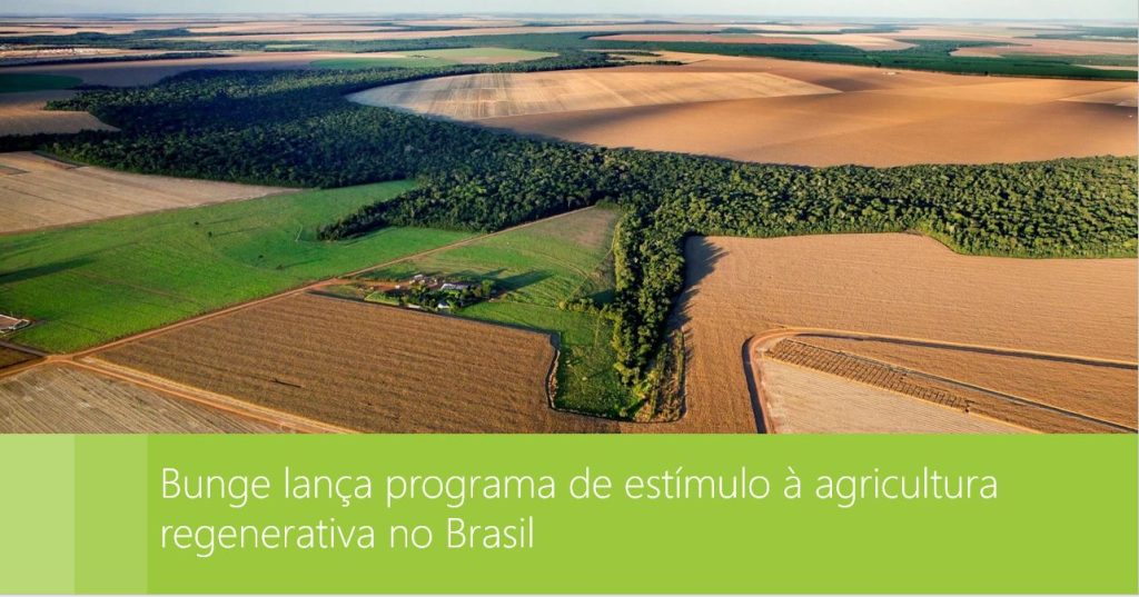 Bunge lança programa de estímulo à agricultura regenerativa no Brasil