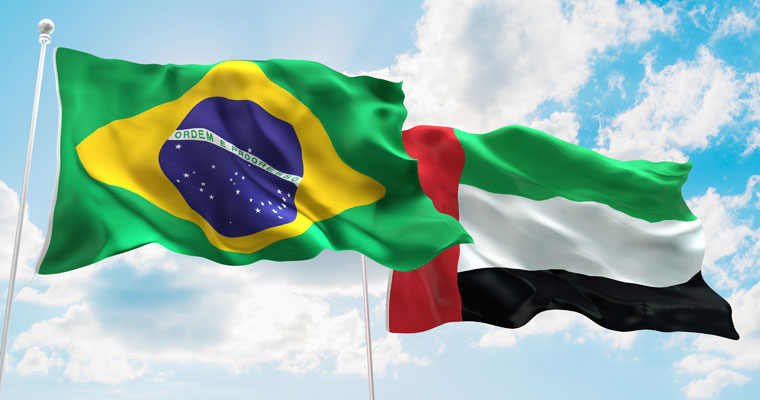 Arab countries could connect with Rondônia for sustainability