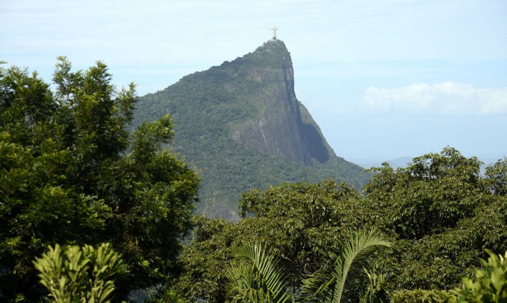 Alerj, Meio Ambiente