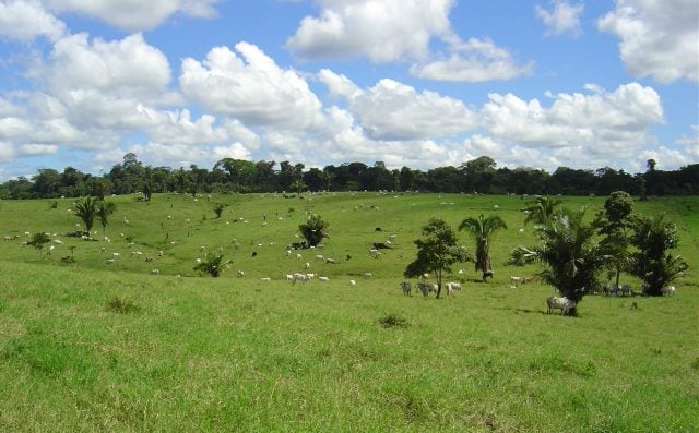 Regularização Ambiental Rápida: Produtor Rural Volta ao Mercado em Tempo Recorde
