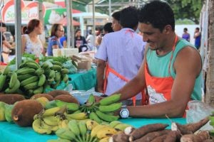 Sistema de compras on-line de produtos da agricultura familiar gera renda para agricultores