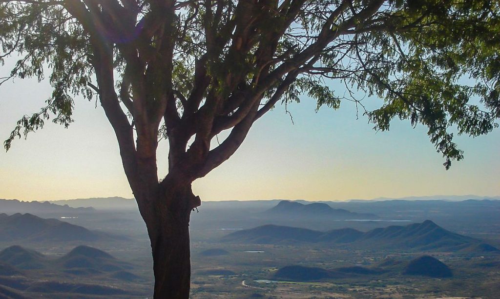 Serra_Do_Teixeira1, Parque