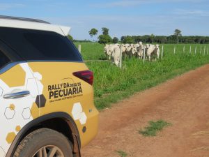 Produtividade cresce 87,2% entre produtores que integram Rally da Pecuária