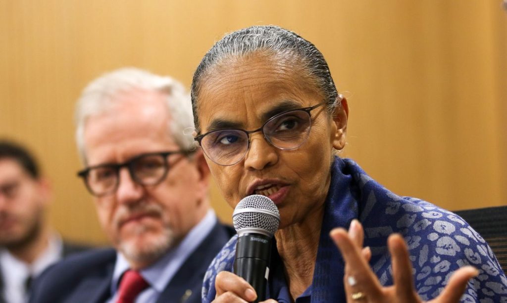 Marina Silva, Mercado De Carbono