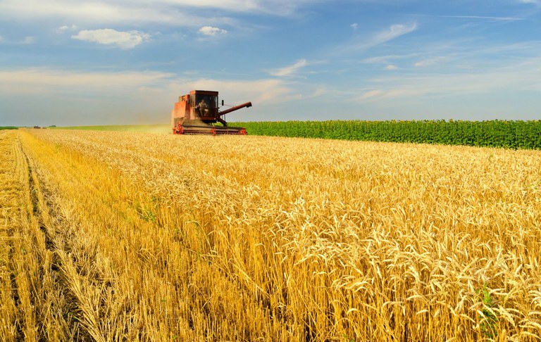 Plano Safra, Agricultura, Trigo, Máquina Agrícola