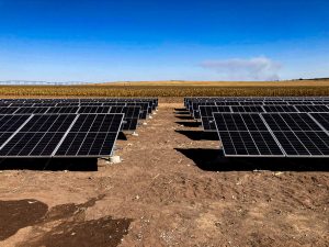 Saiba por que a energia solar é uma das melhores opções para o produtor rural