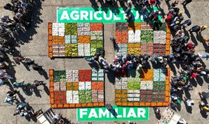 Programa de Aquisição de Alimentos é instituído no Brasil