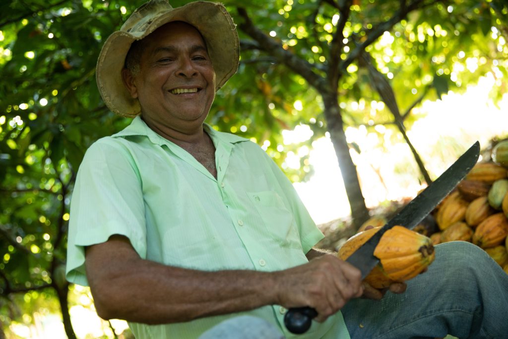 Amazônia: painel de dados vai impulsionar a bioeconomia na floresta