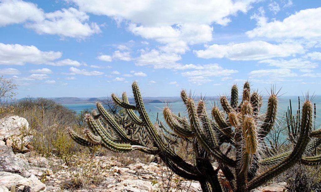 Caatinga, Clima