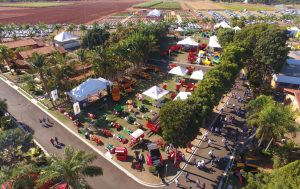 Coopercitrus Expo terá 100% do evento utilizando energia solar