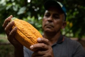 Projeto destrava crédito público para agricultores familiares da Amazônia