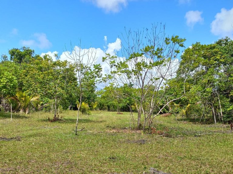 Bahia, Extinção