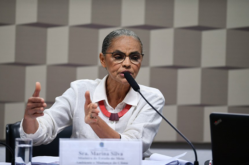 Marina Silva, Preservação Ambiental