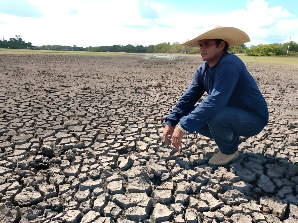 El Niño, agricultura, agro