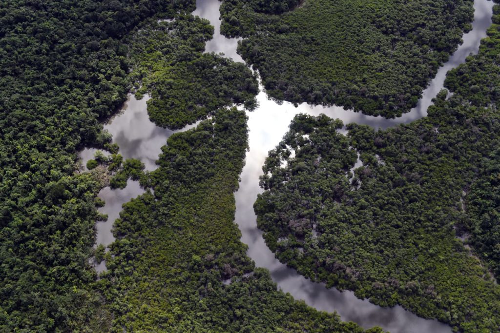 desmatamento, Brasil, floresta, mata atlântica