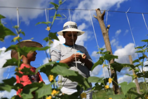 Conheça o projeto que vem revolucionando e trazendo sustentabilidade a “Capital do Agro”