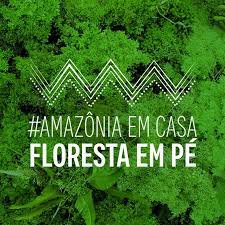 Produtos da Amazônia chegam ao Mercado Livre