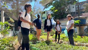 Rolê Agroecológico: Prefeitura de SP leva estudantes para conhecer hortas da capital